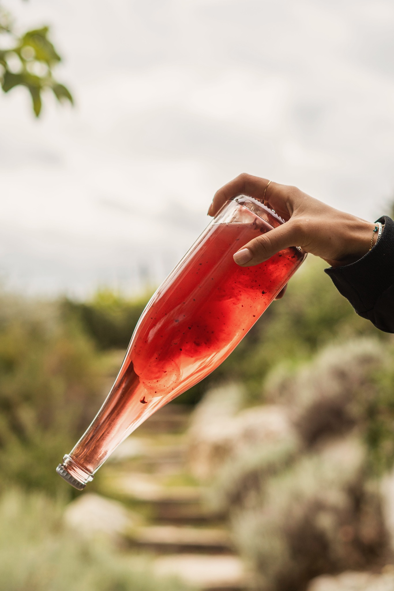 bucolica vini