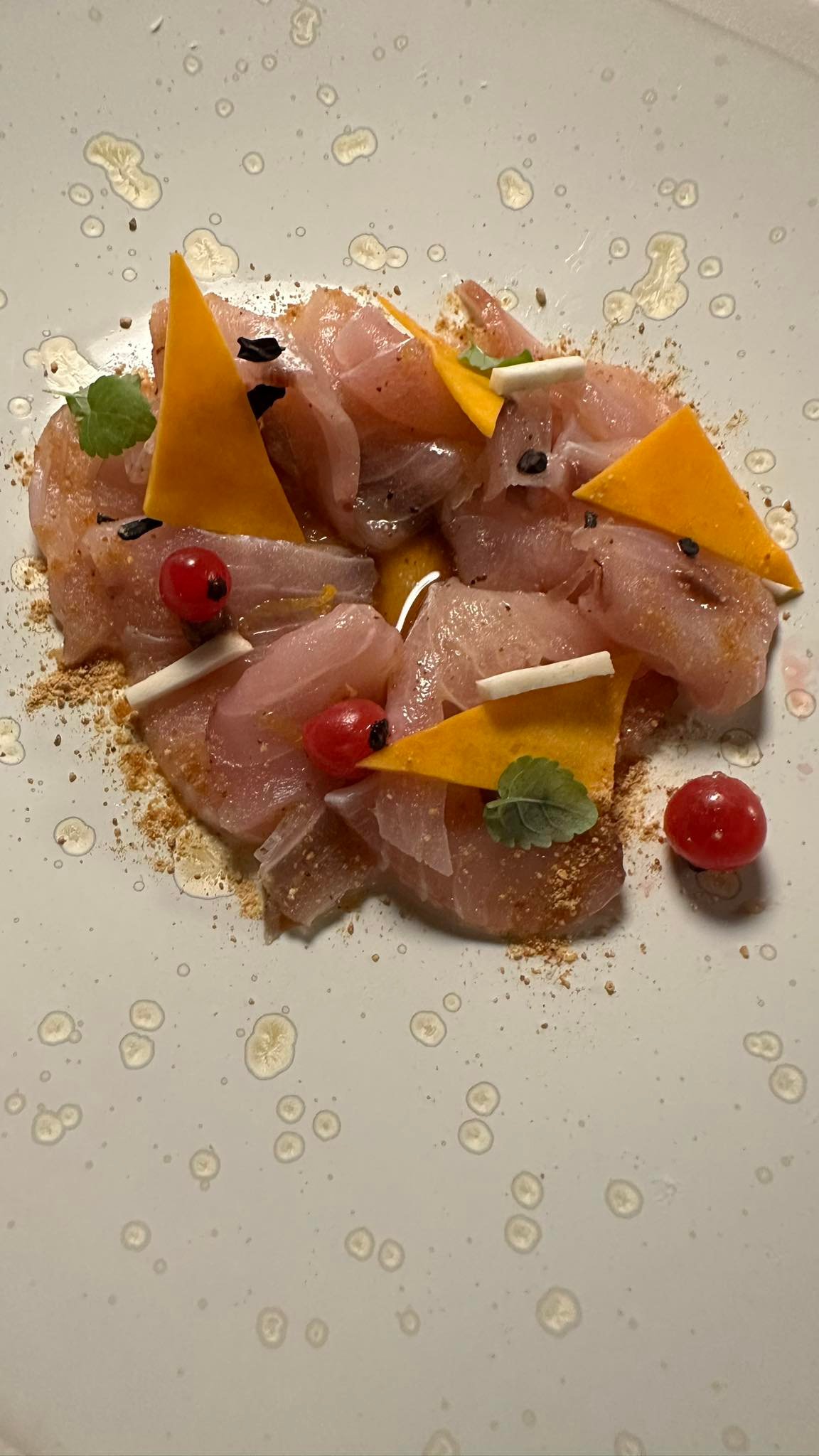 22 carpaccio