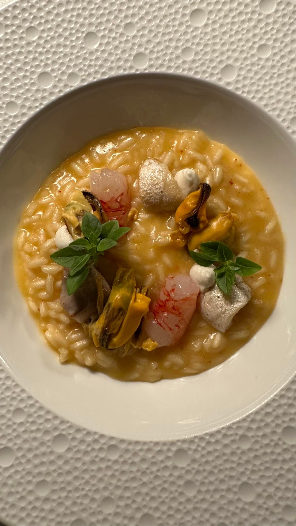 22 risotto