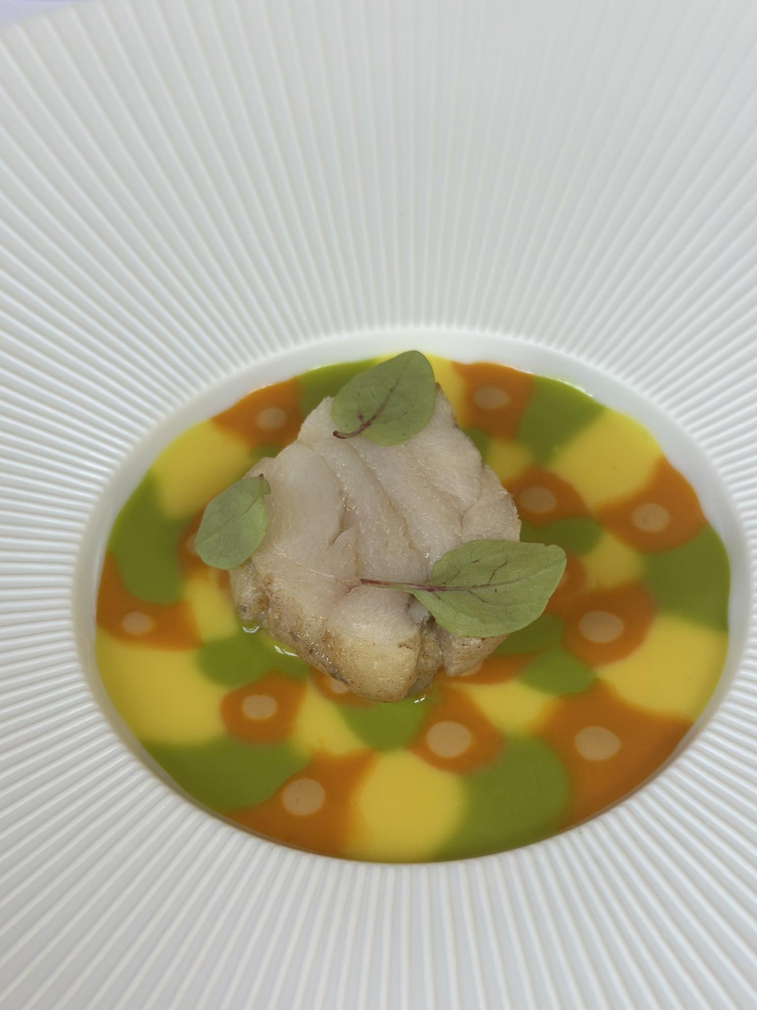 RANA PESCATRICE