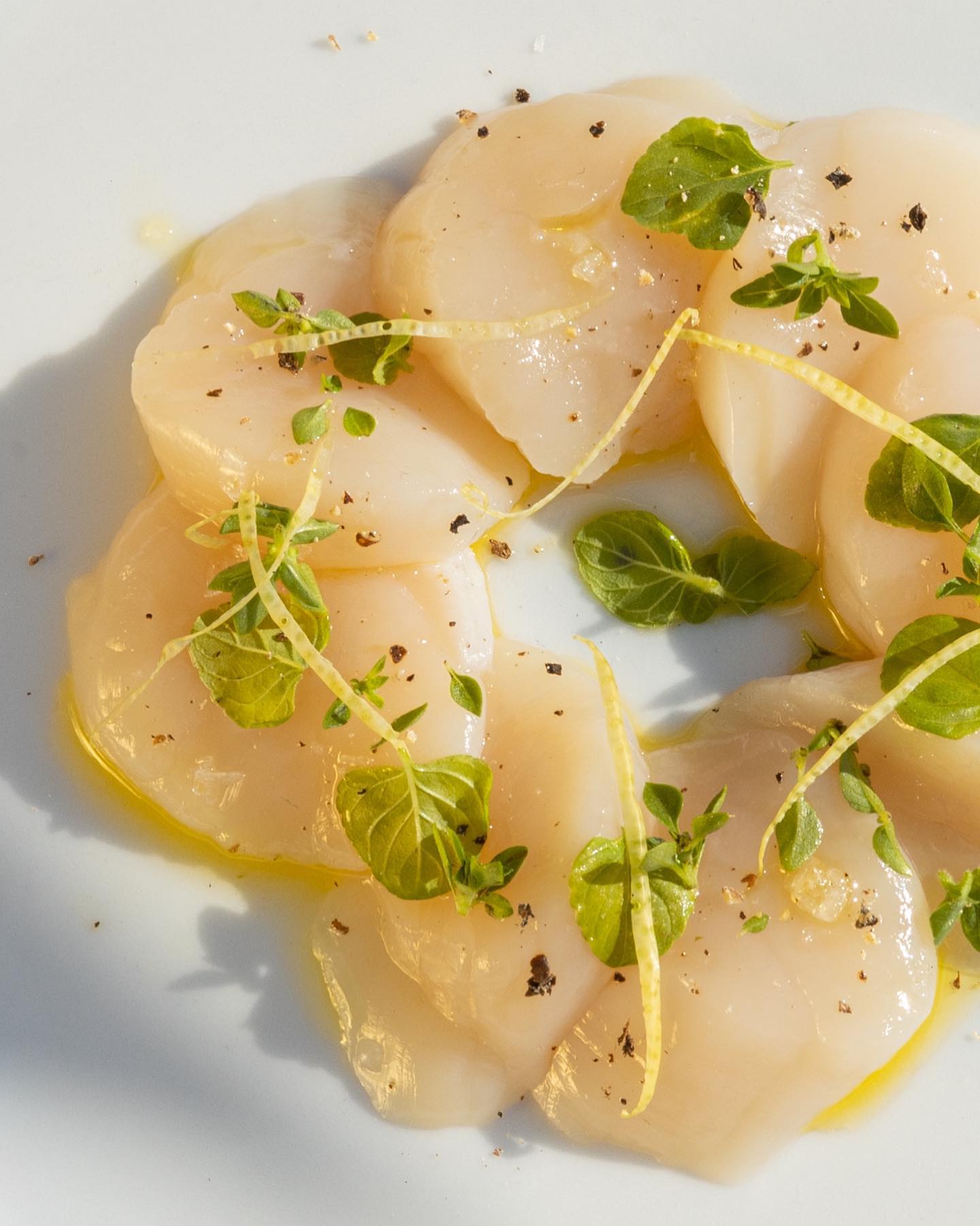 CRUDO 3
