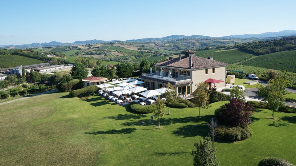ristorante vite
