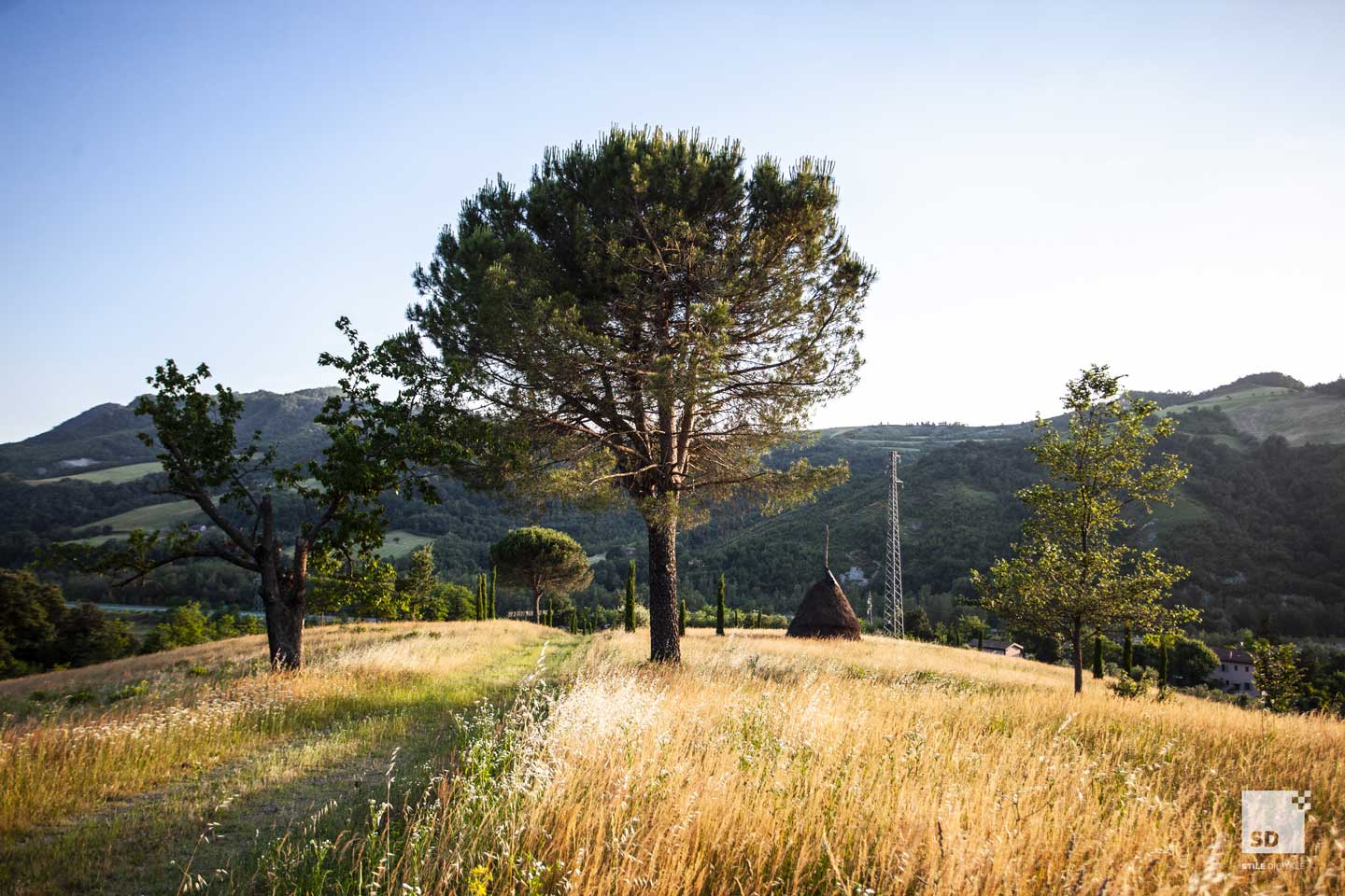 cinque cerri