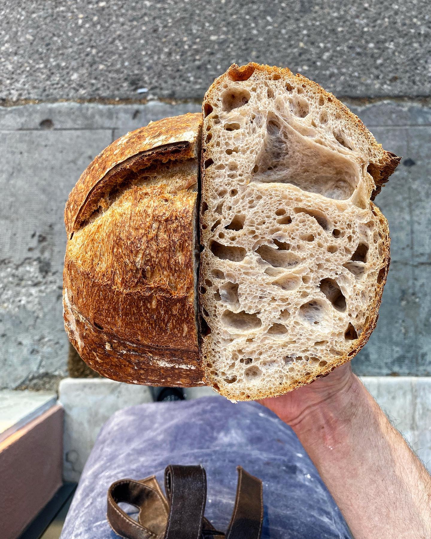 PANE