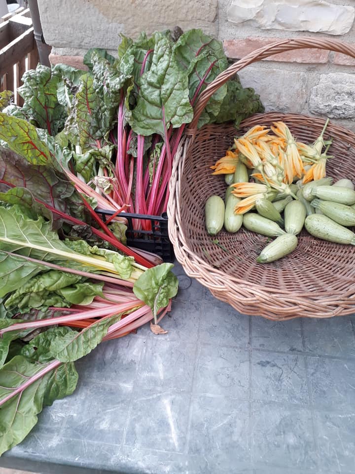 mastrosasso verdure