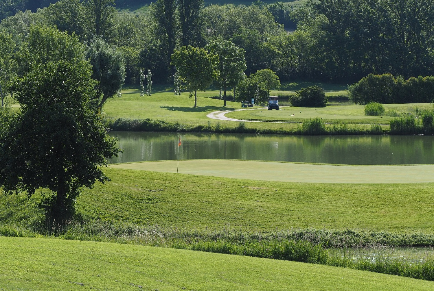 golf club
