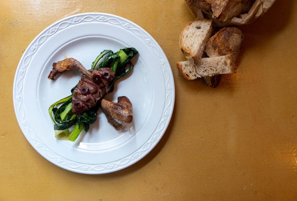cinghiale