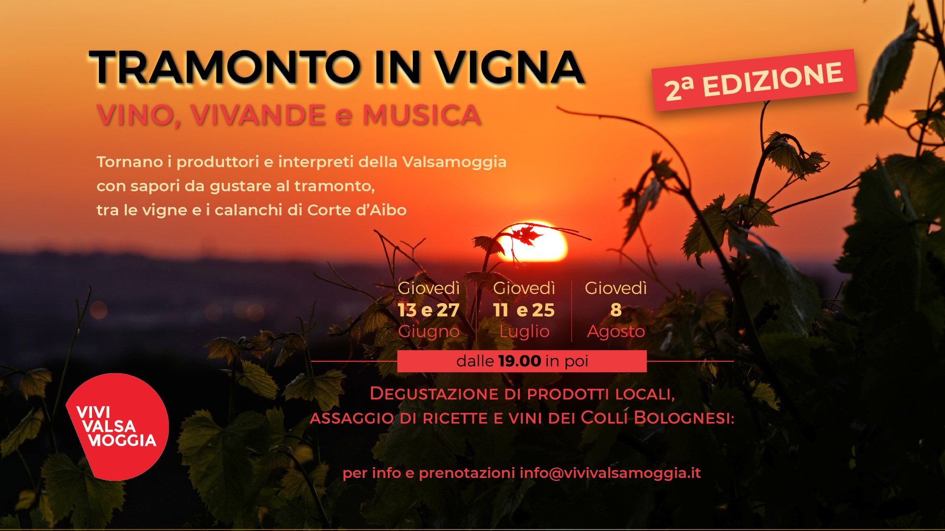 tramonto in vigna